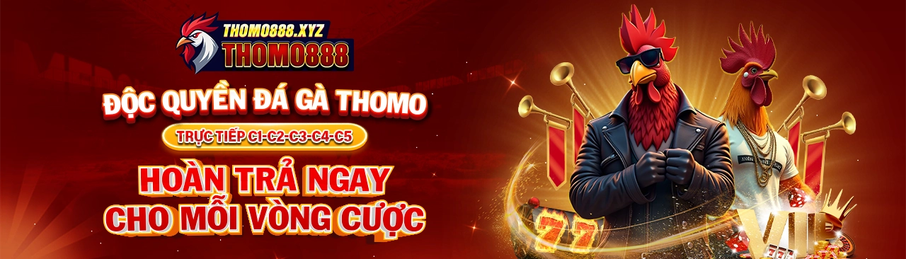 thomo8888 4